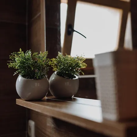 Brvnara Mila Vinci Golubac